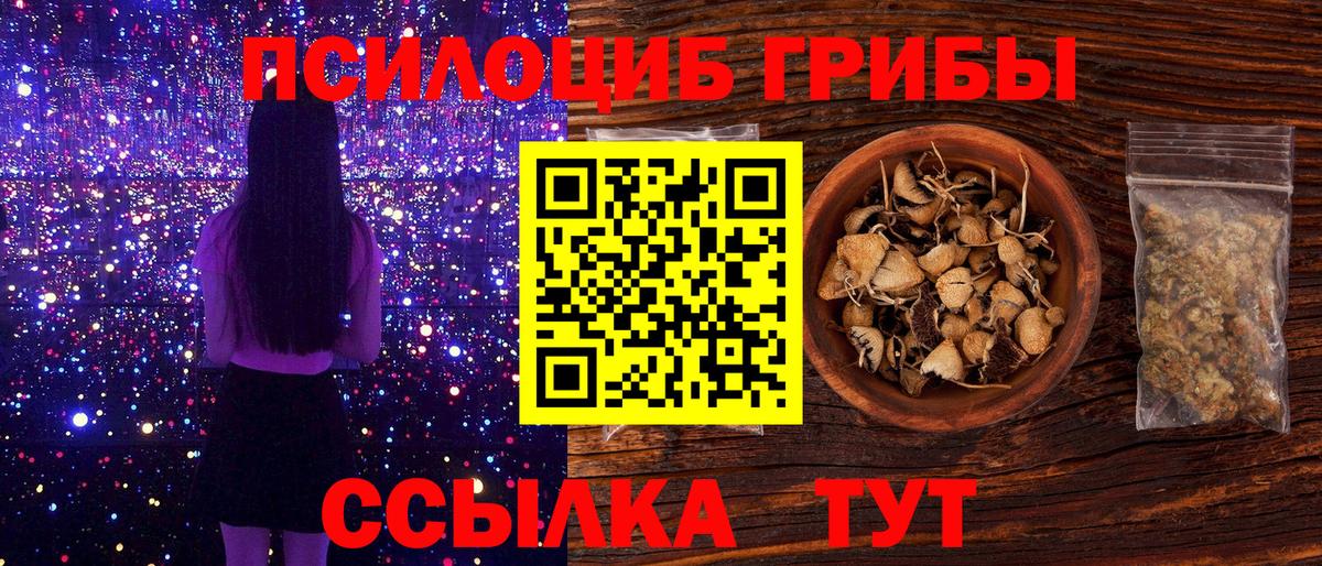 Галлюциногенные грибы MAGIC MUSHROOMS  Вход с VPN  Курчалой  Галлюциногенные грибы ЛСД 