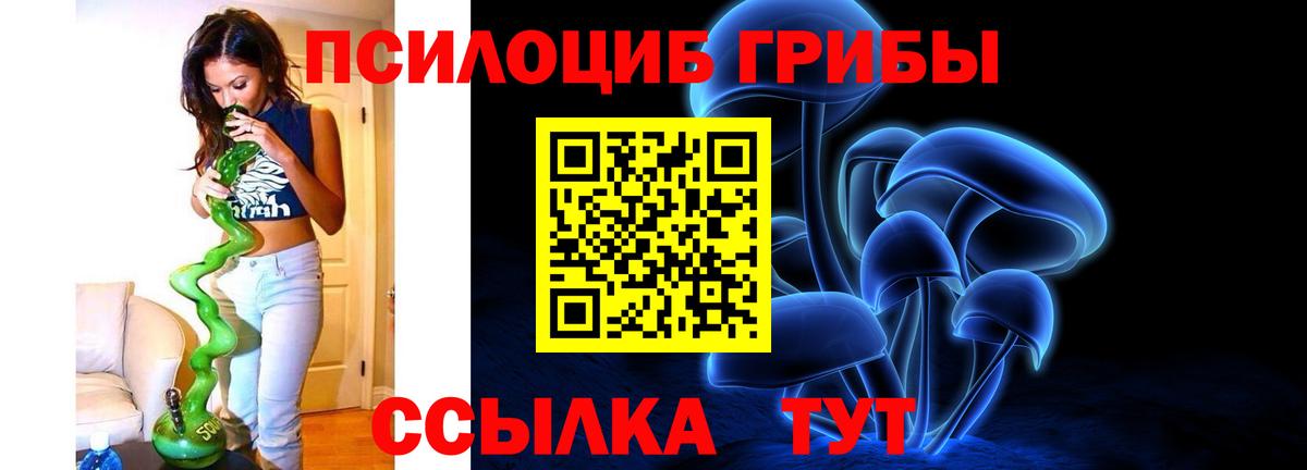 Галлюциногенные грибы Psilocybe Курчалой